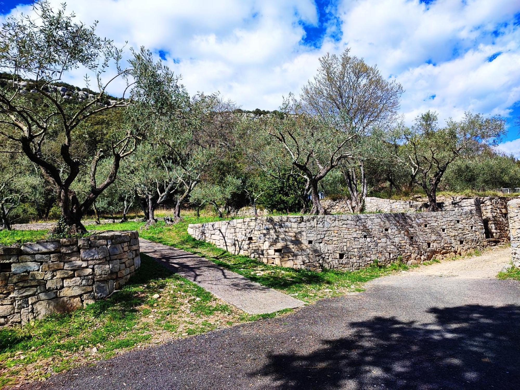 La Bergerie De Corconne Villa Dış mekan fotoğraf