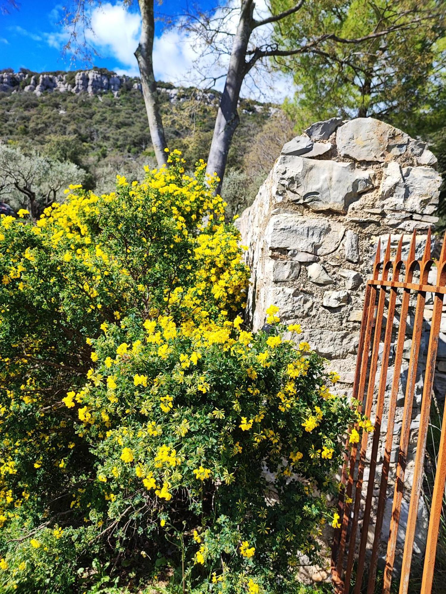 La Bergerie De Corconne Villa Dış mekan fotoğraf